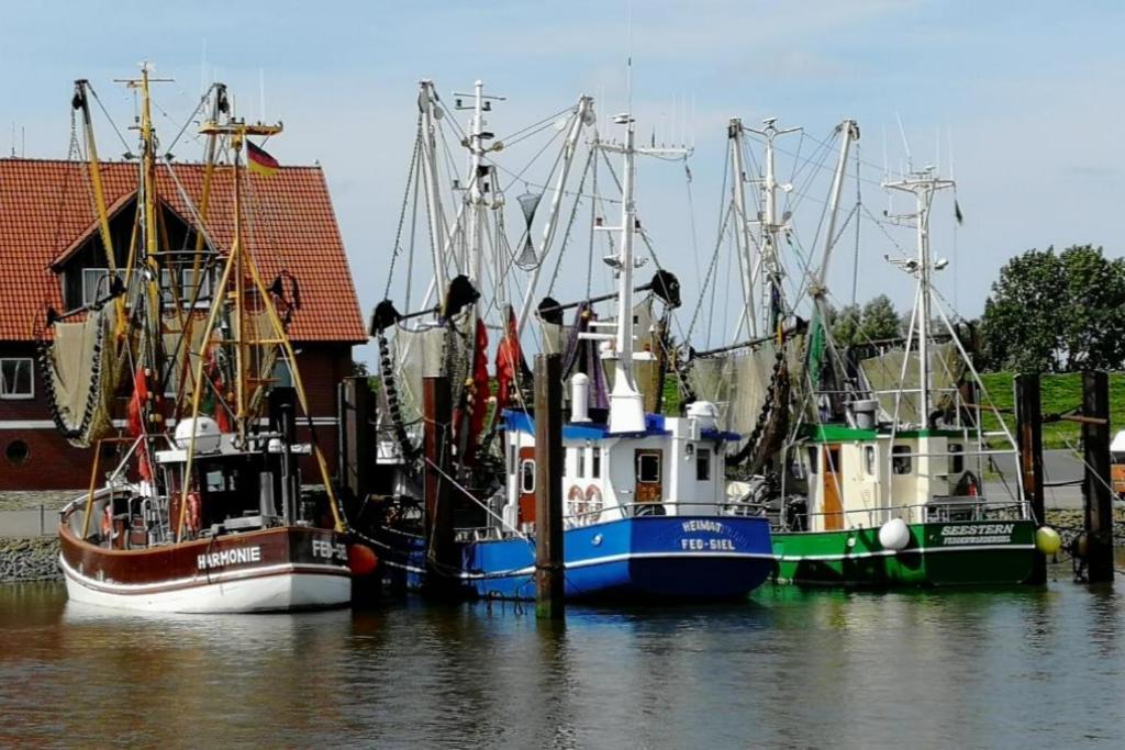 Am Kutterhafen 3 - Pier 3 Villa Fedderwardersiel Eksteriør billede